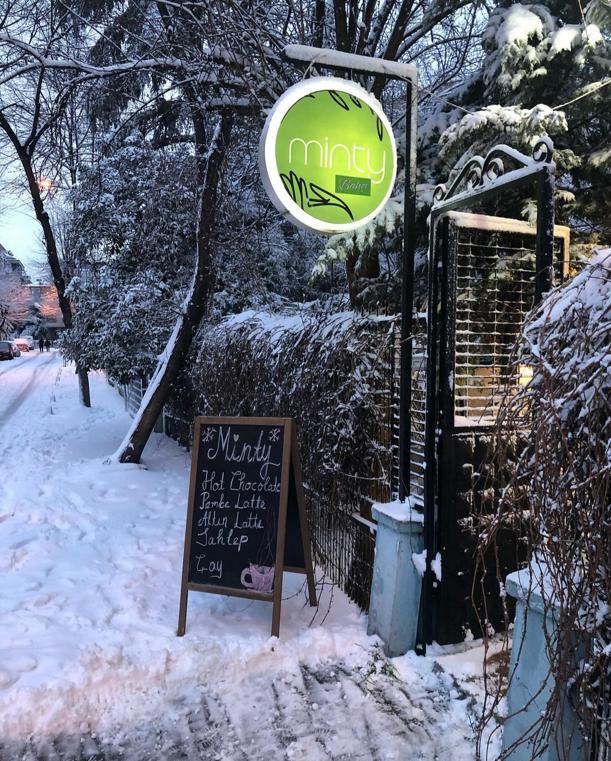 Minty Bahçe Fotoğraflar