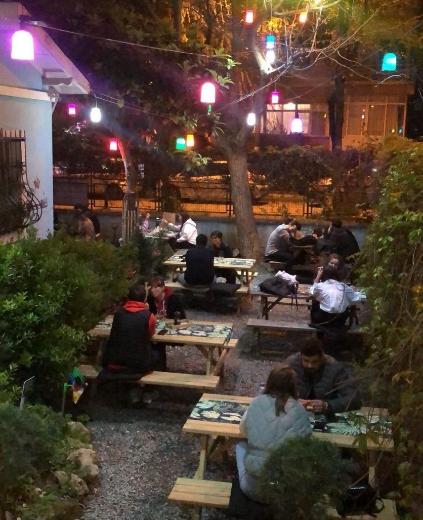 Minty Bahçe Fotoğraflar